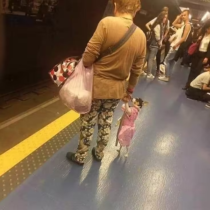 Смешнявка #327