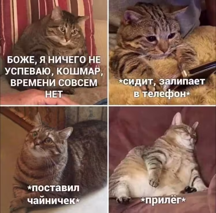 Смешнявка #329