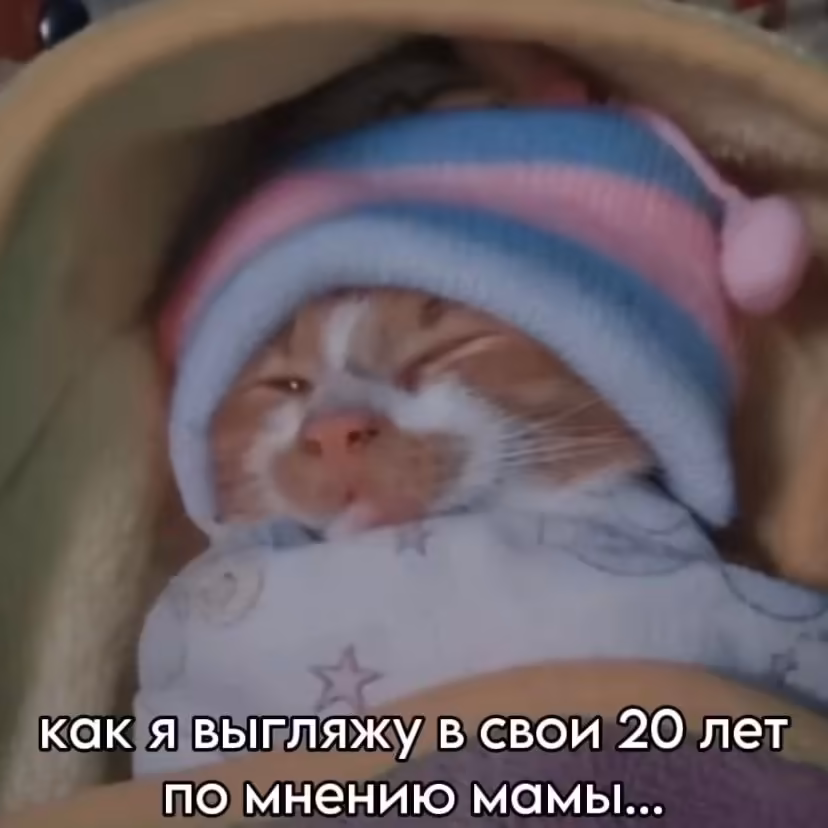 Смешнявка #334