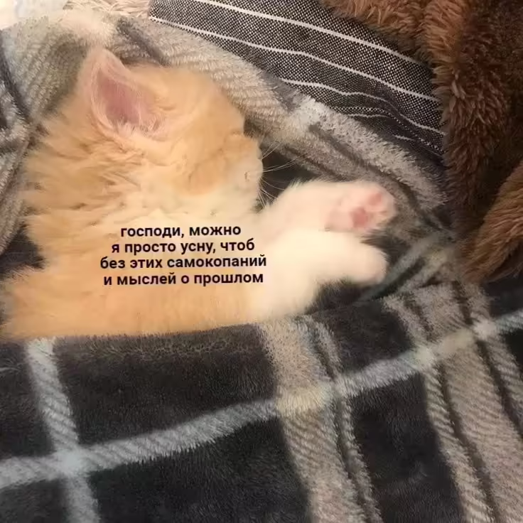 Смешнявка #343