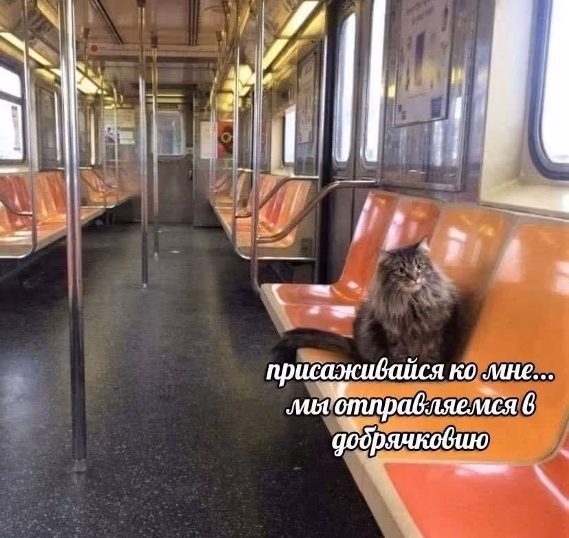 Смешнявка #346