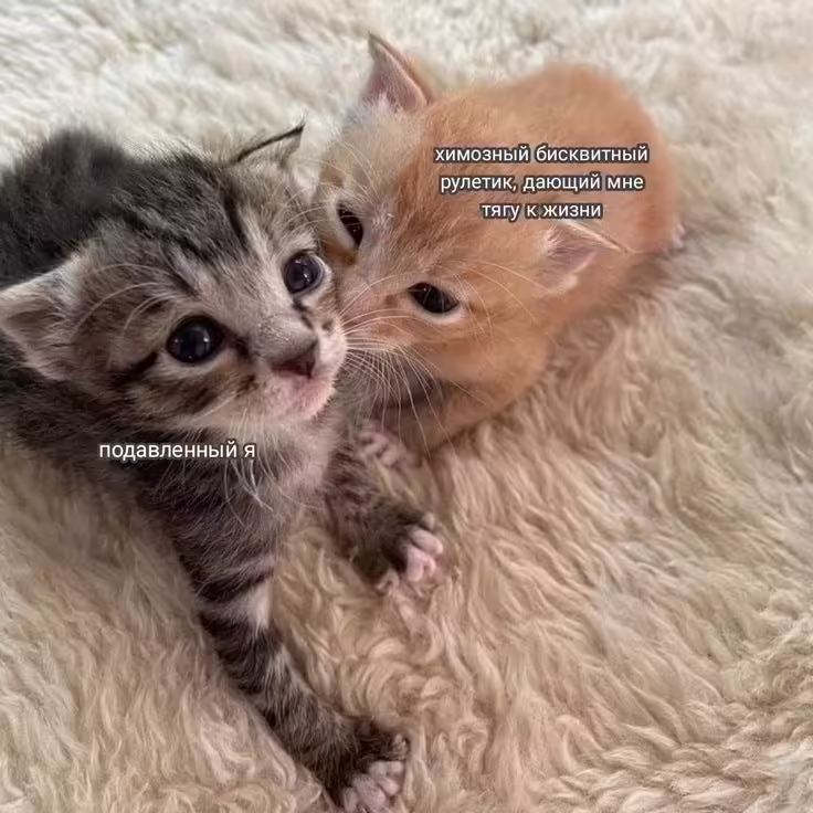 Смешнявка #362