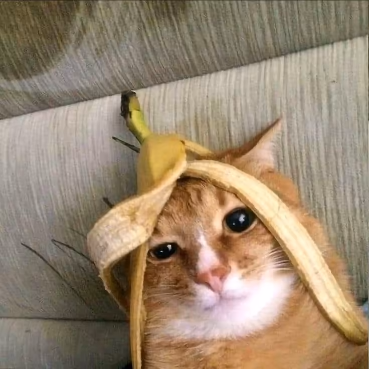 Смешнявка #368