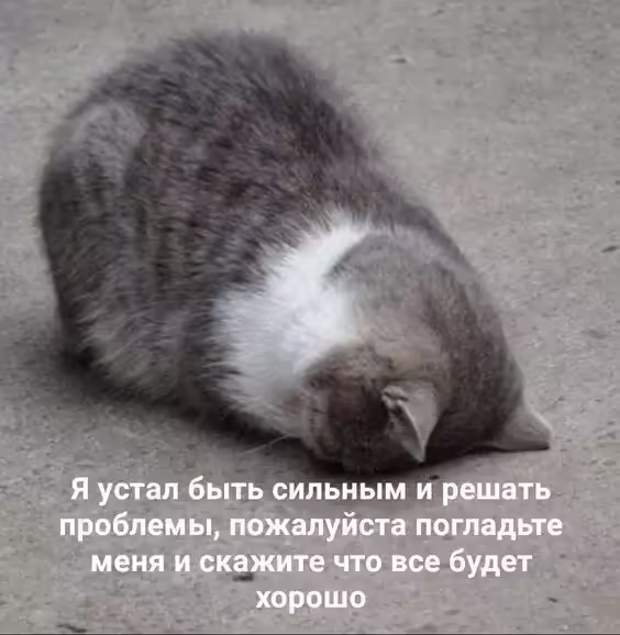 Смешнявка #371