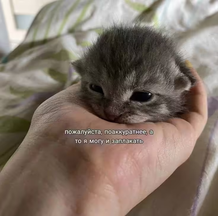 Смешнявка #375