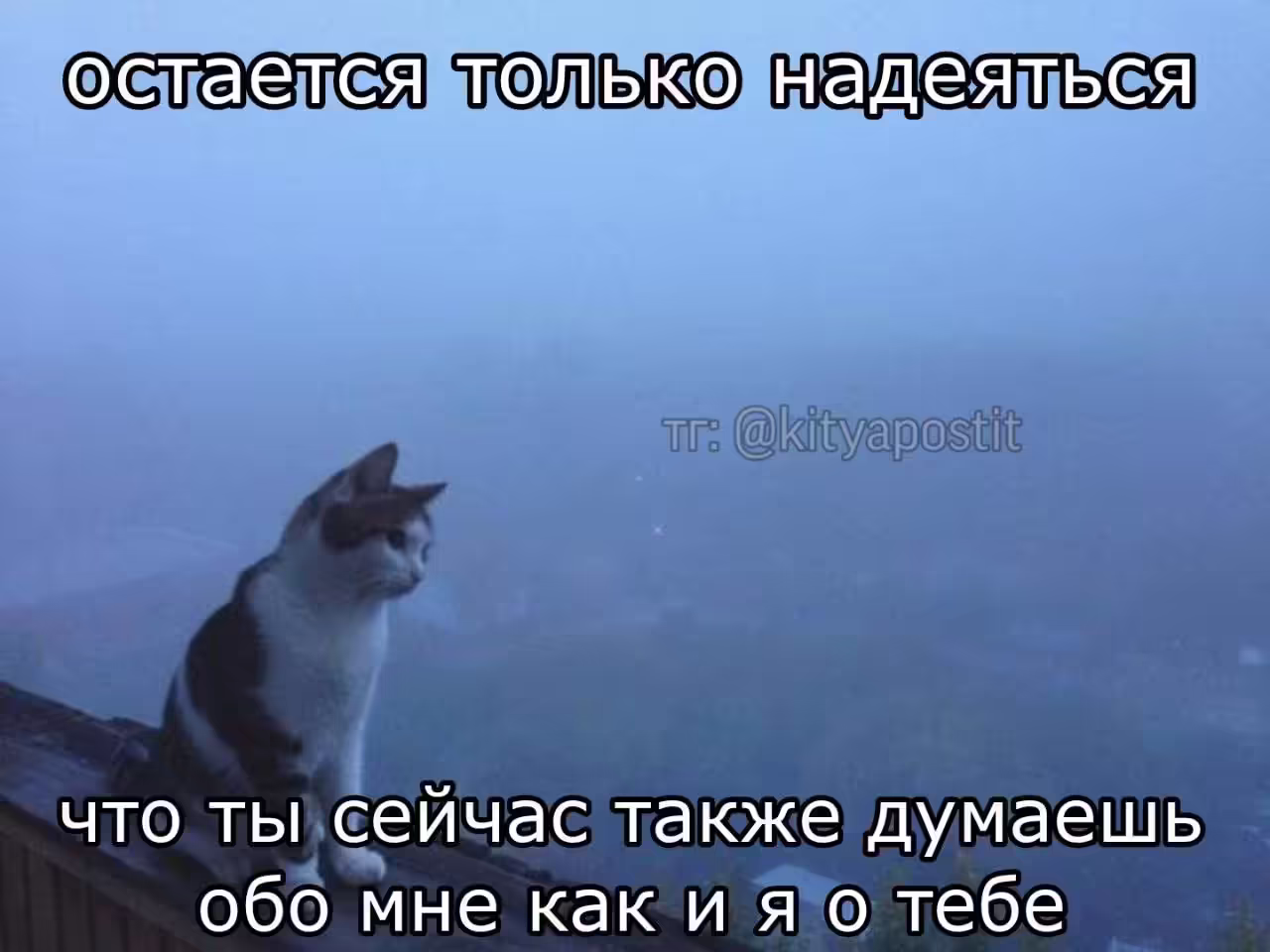 Смешнявка #385