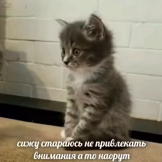 Смешнявка #387