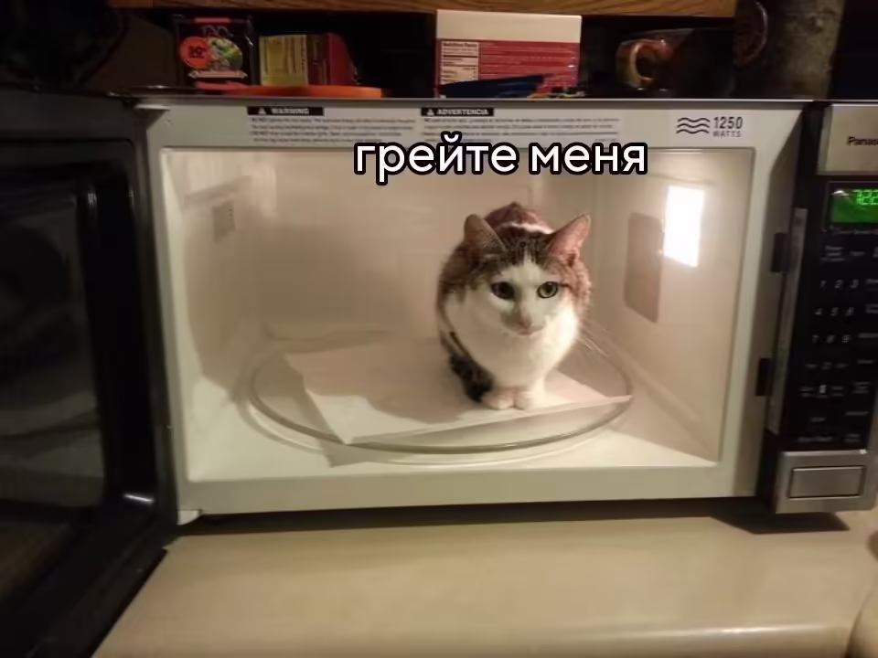 Смешнявка #390