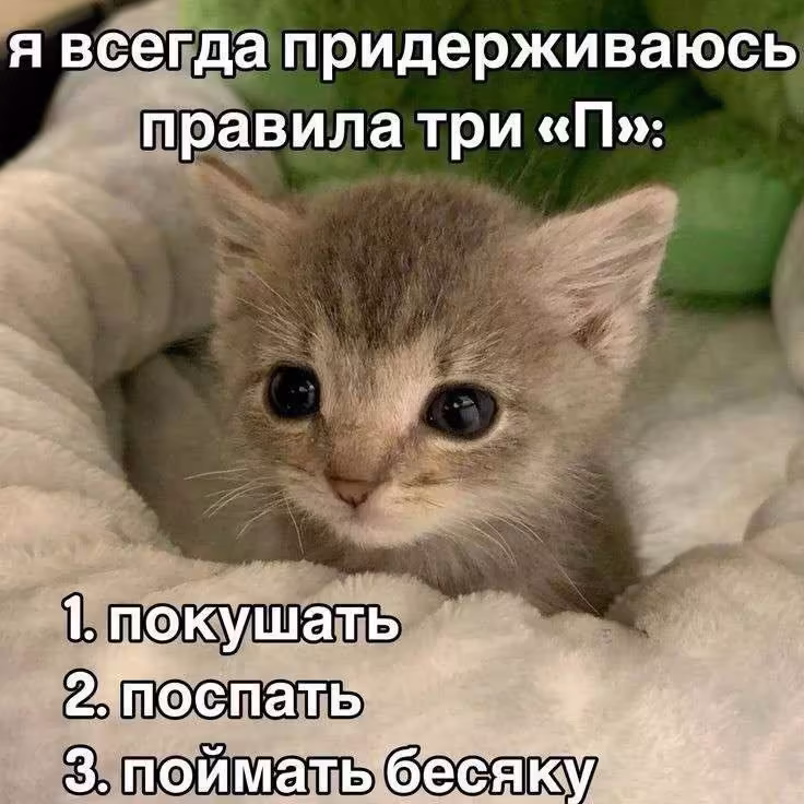 Смешнявка #395