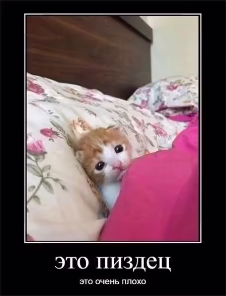 Смешнявка #402