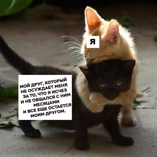 Смешнявка #411