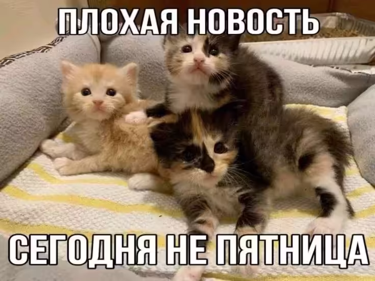 Смешнявка #420