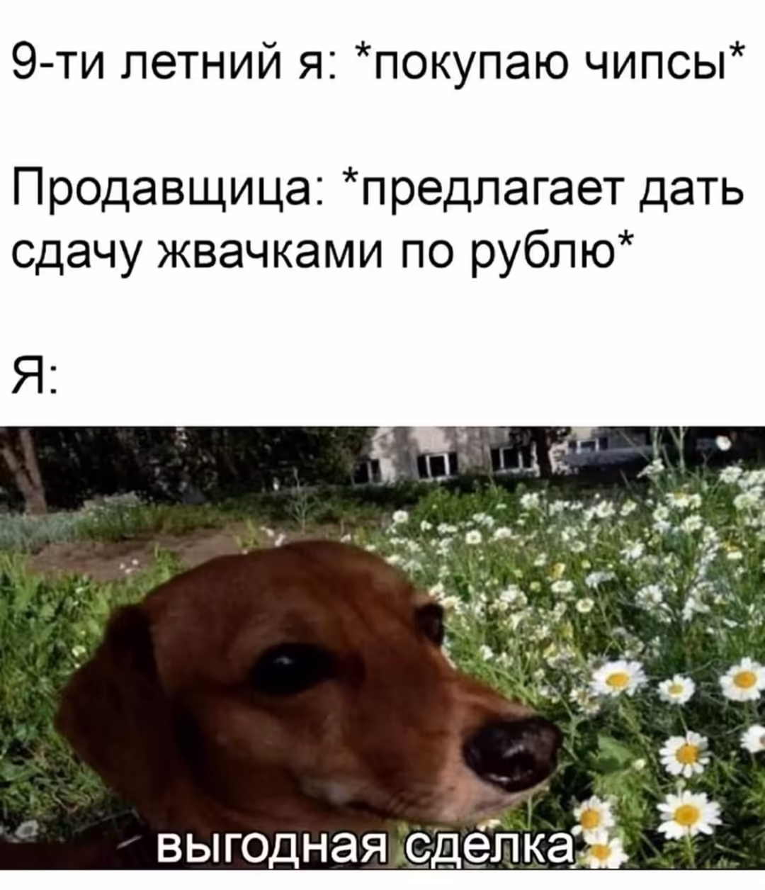 Смешнявка #424