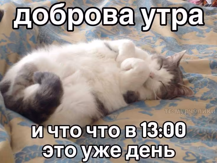 Смешнявка #441