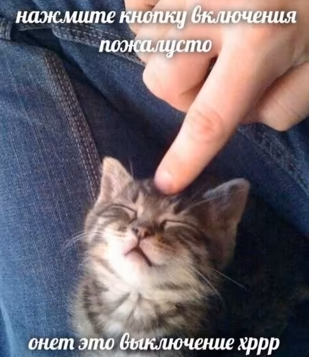 Смешнявка #452