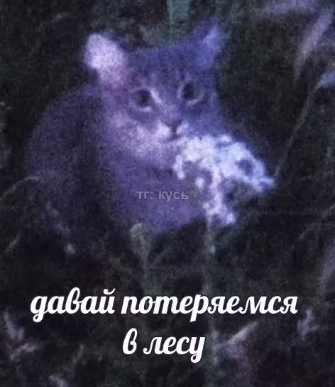 Смешнявка #459