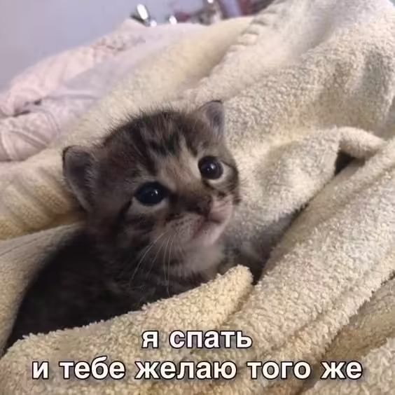 Смешнявка #462