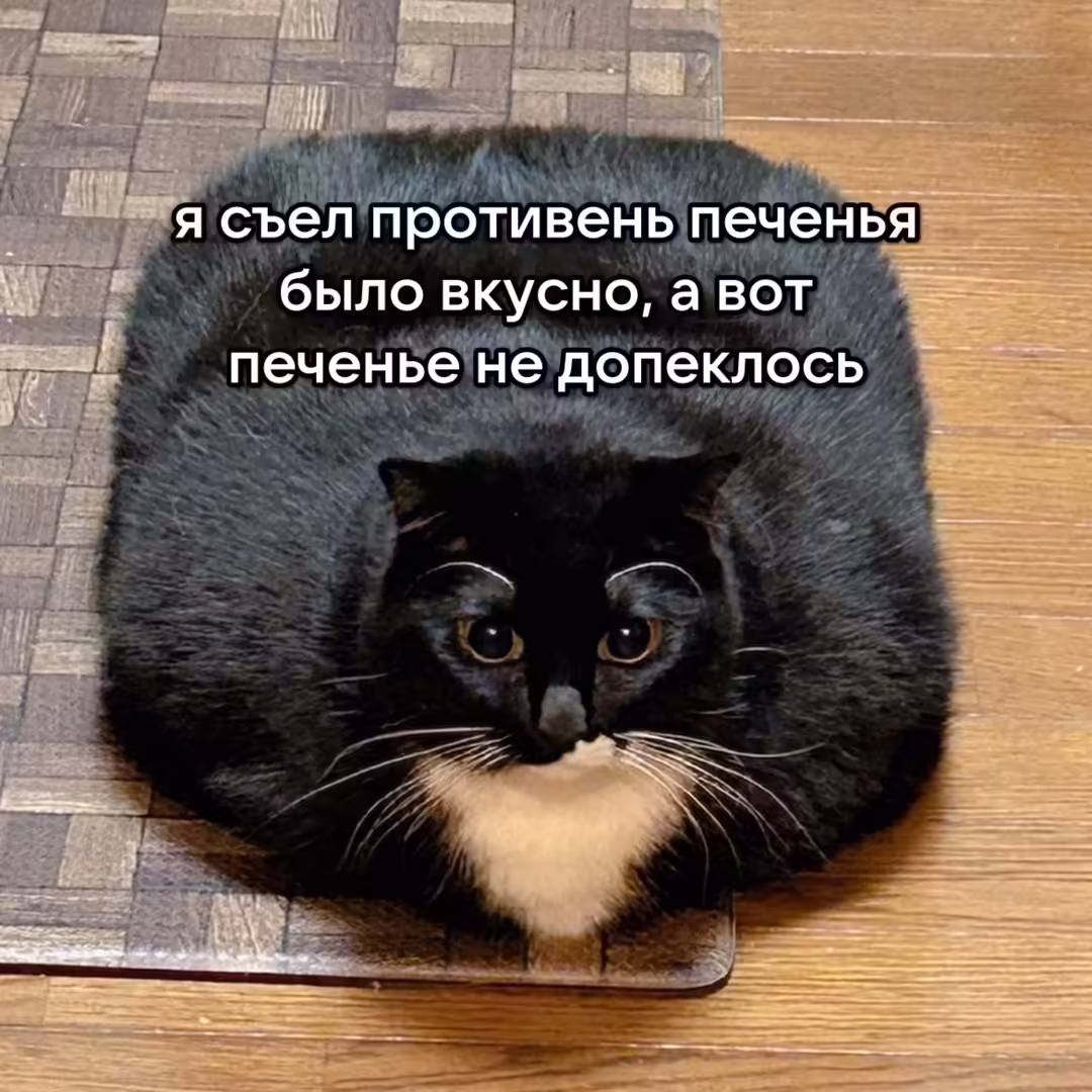 Смешнявка #471