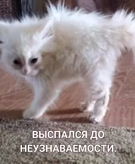 Смешнявка #473