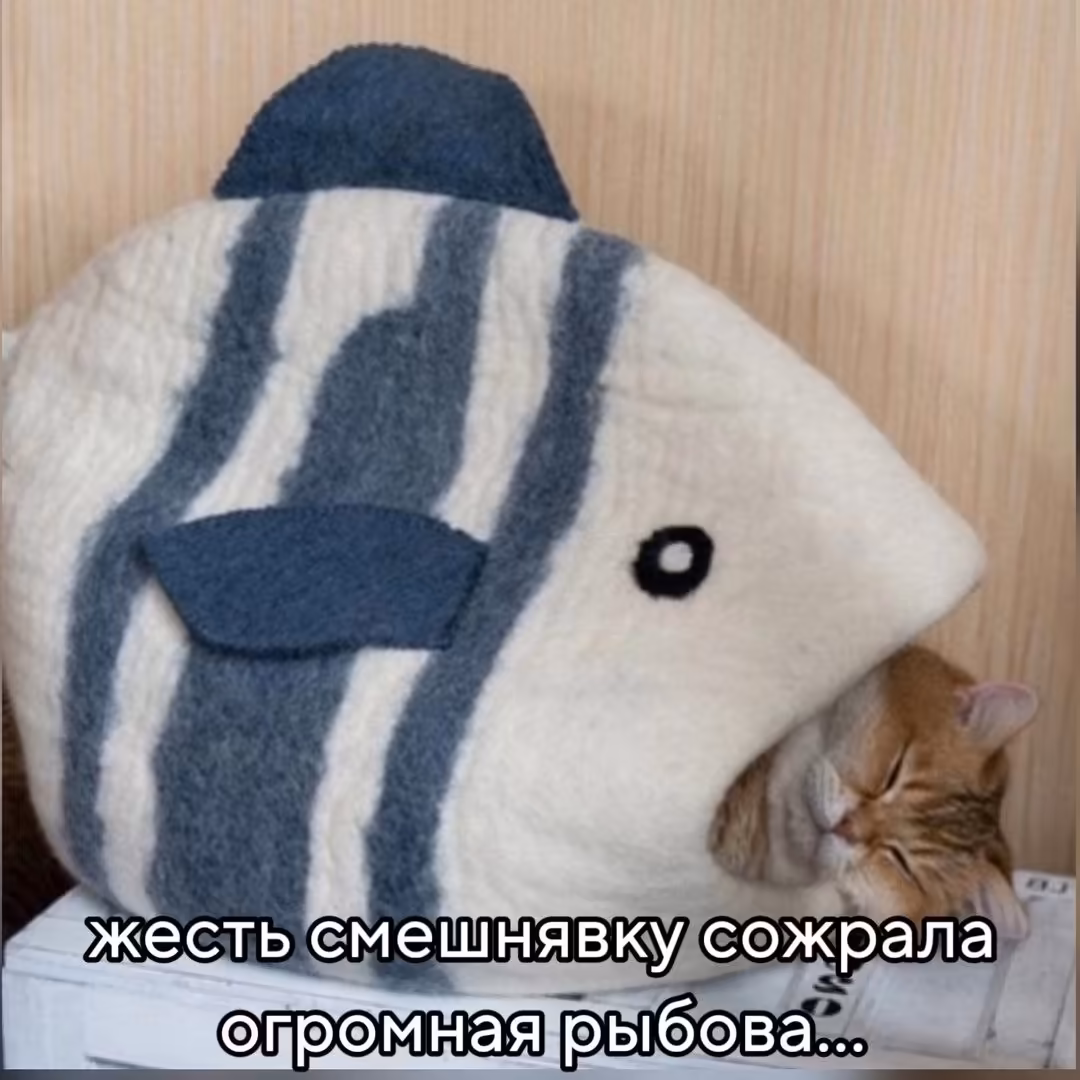 Смешнявка #477