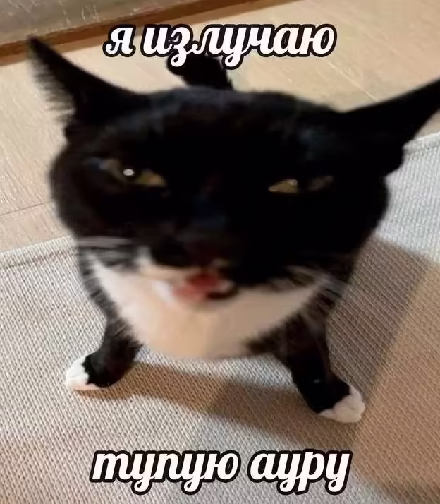 Смешнявка #478