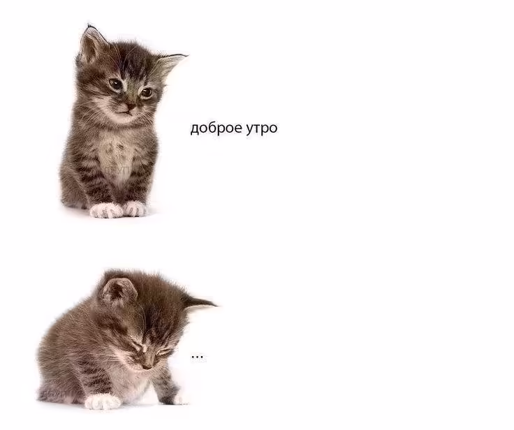 Смешнявка #483