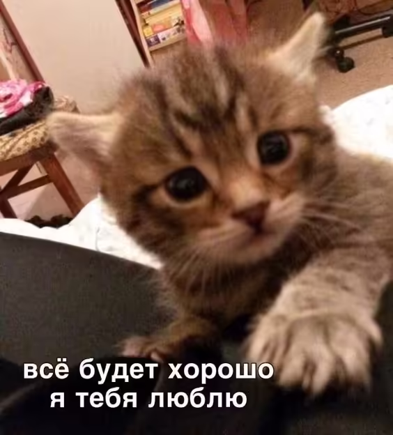 Смешнявка #501