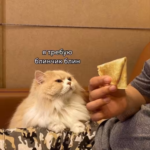 Смешнявка #506