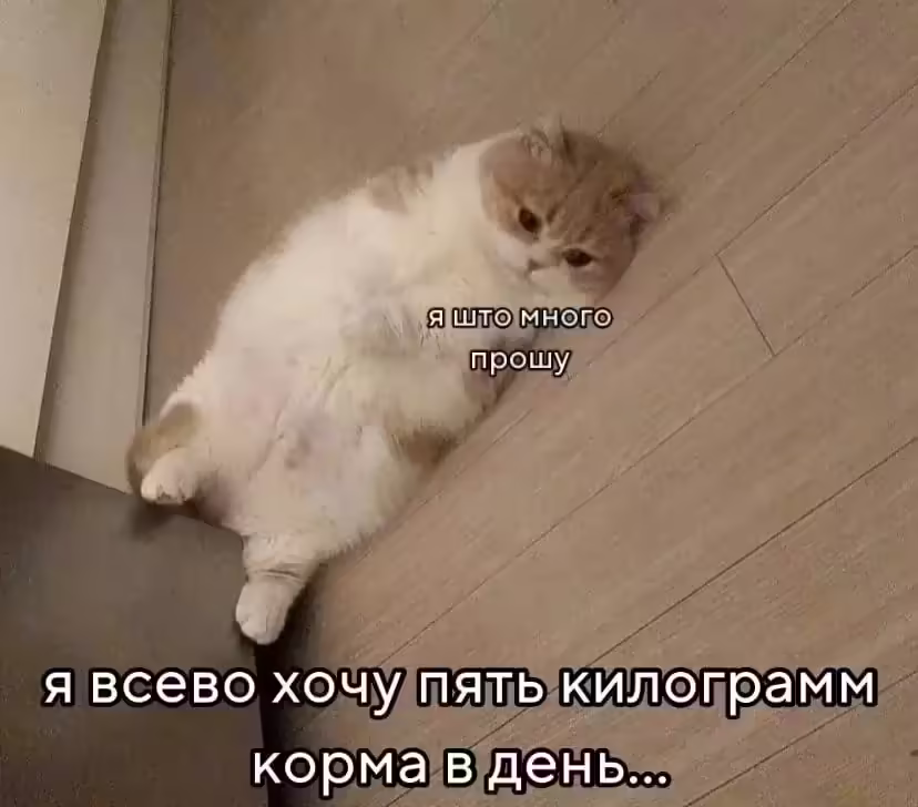 Смешнявка #516