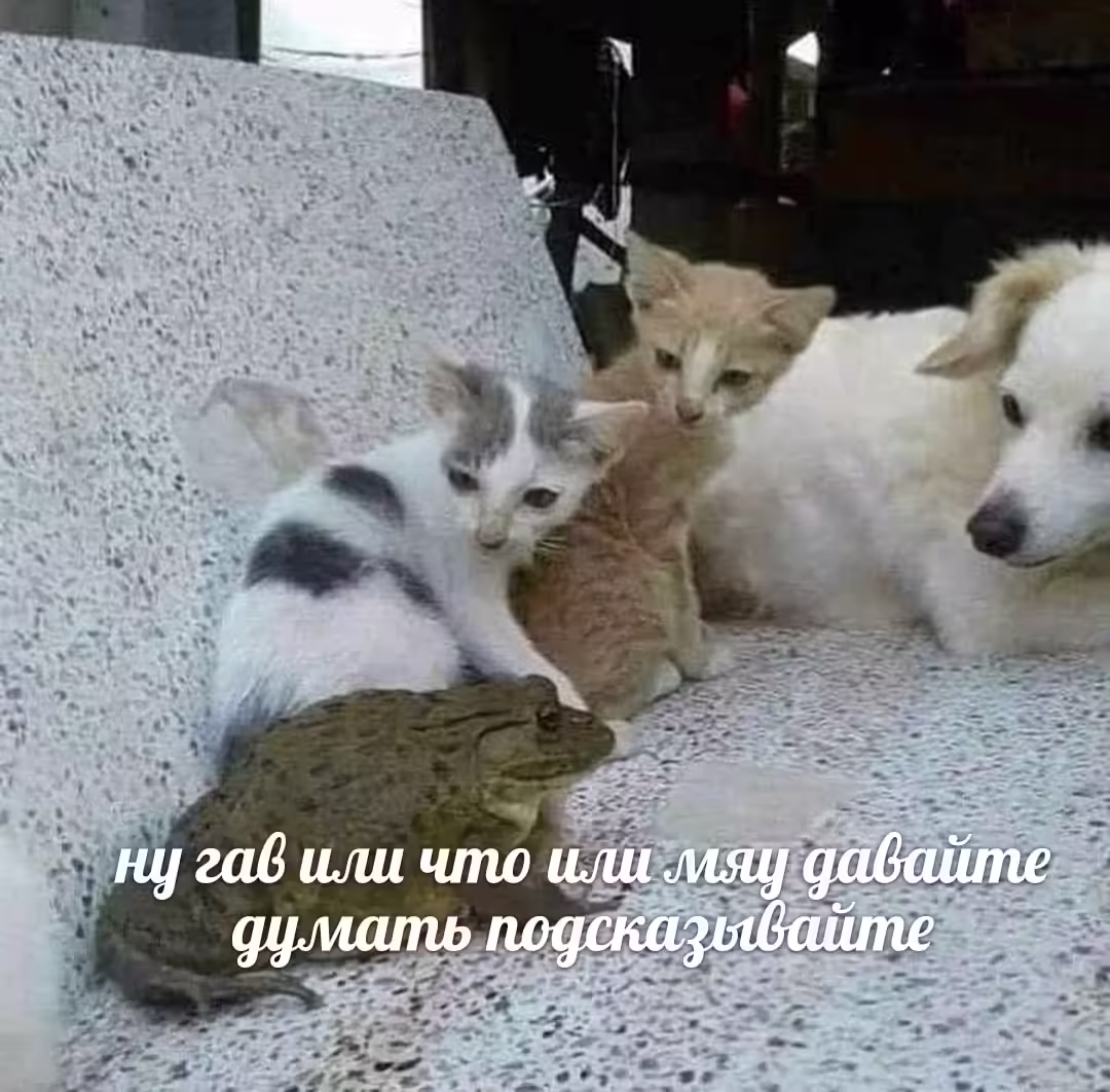 Смешнявка #533