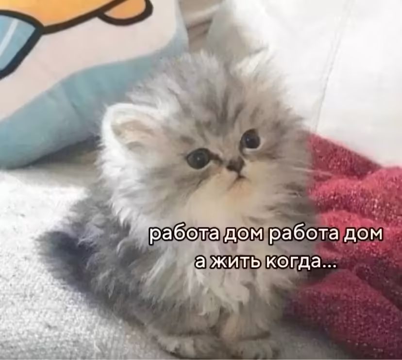 Смешнявка #534