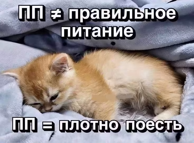 Смешнявка #556