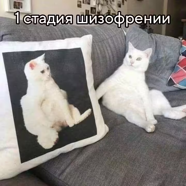 Смешнявка #568