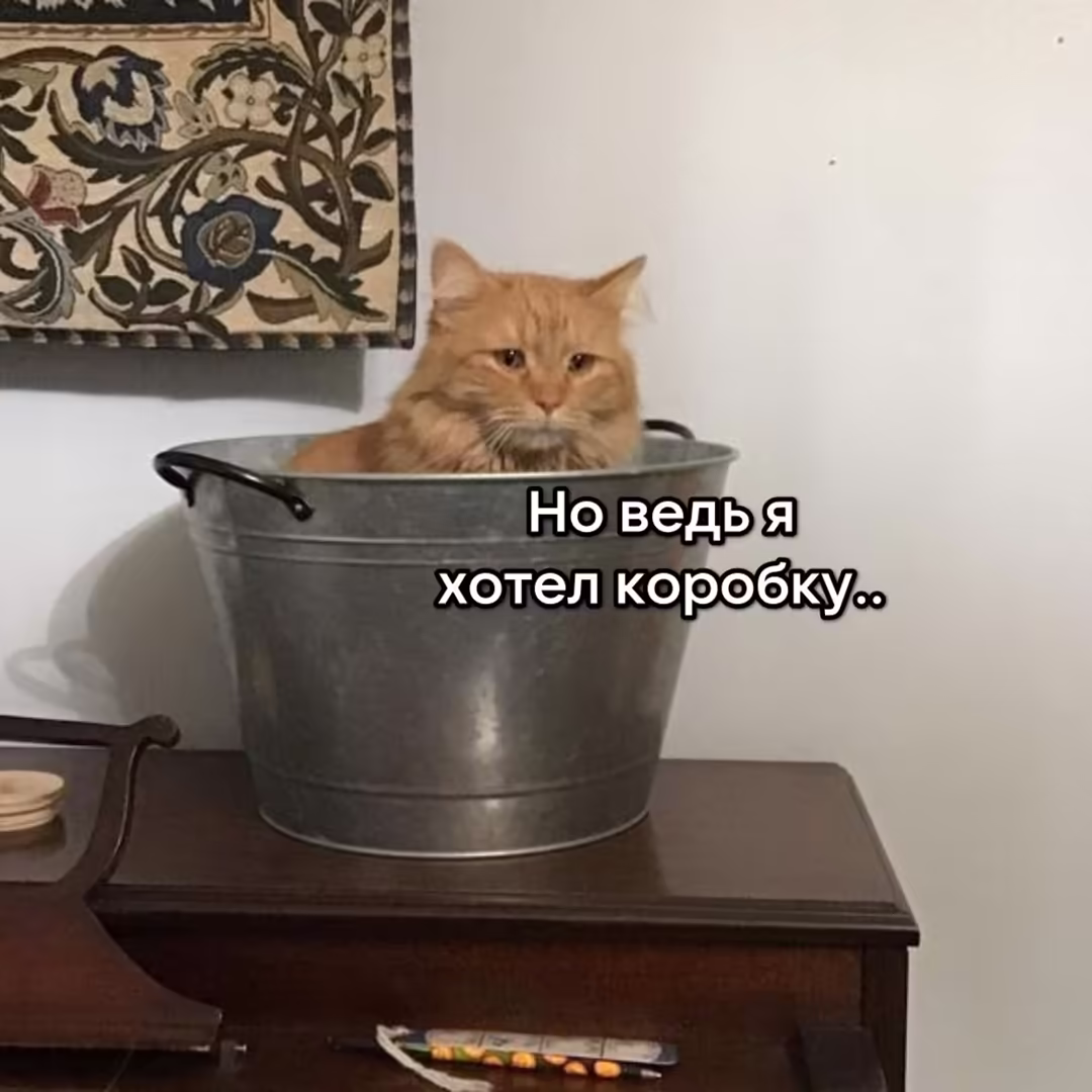 Смешнявка #574