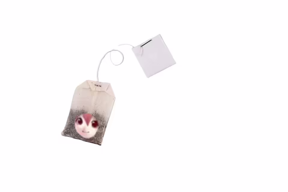 Смешнявка #589