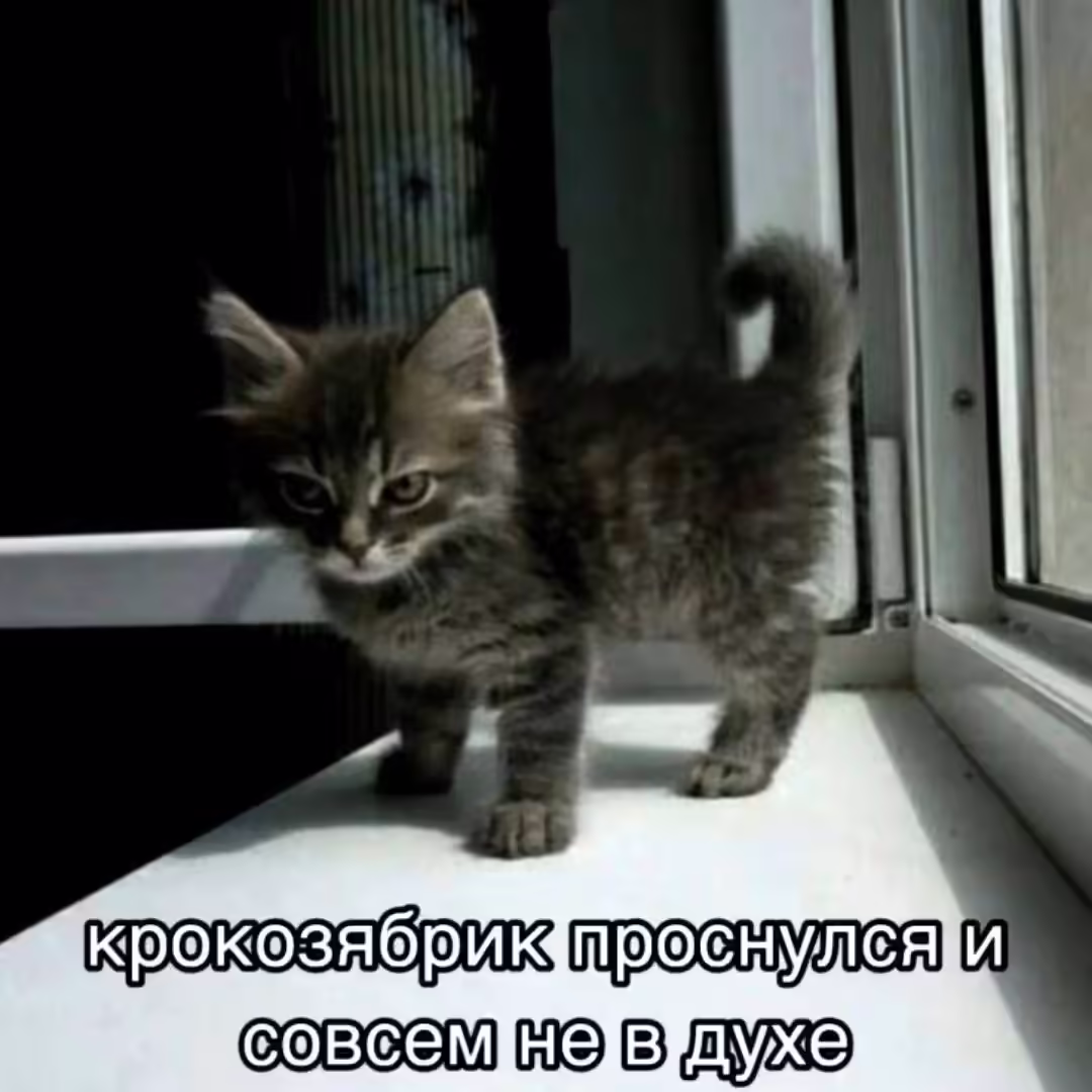 Смешнявка #590