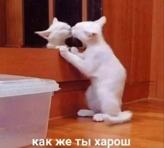 Смешнявка #600