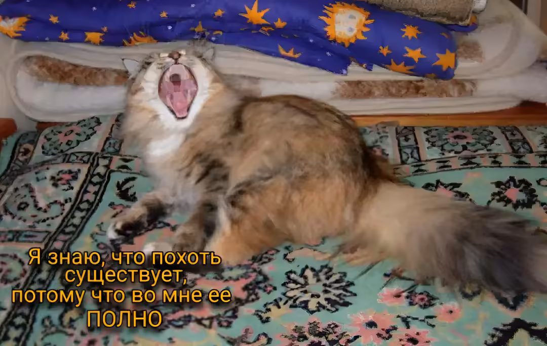 Смешнявка #602