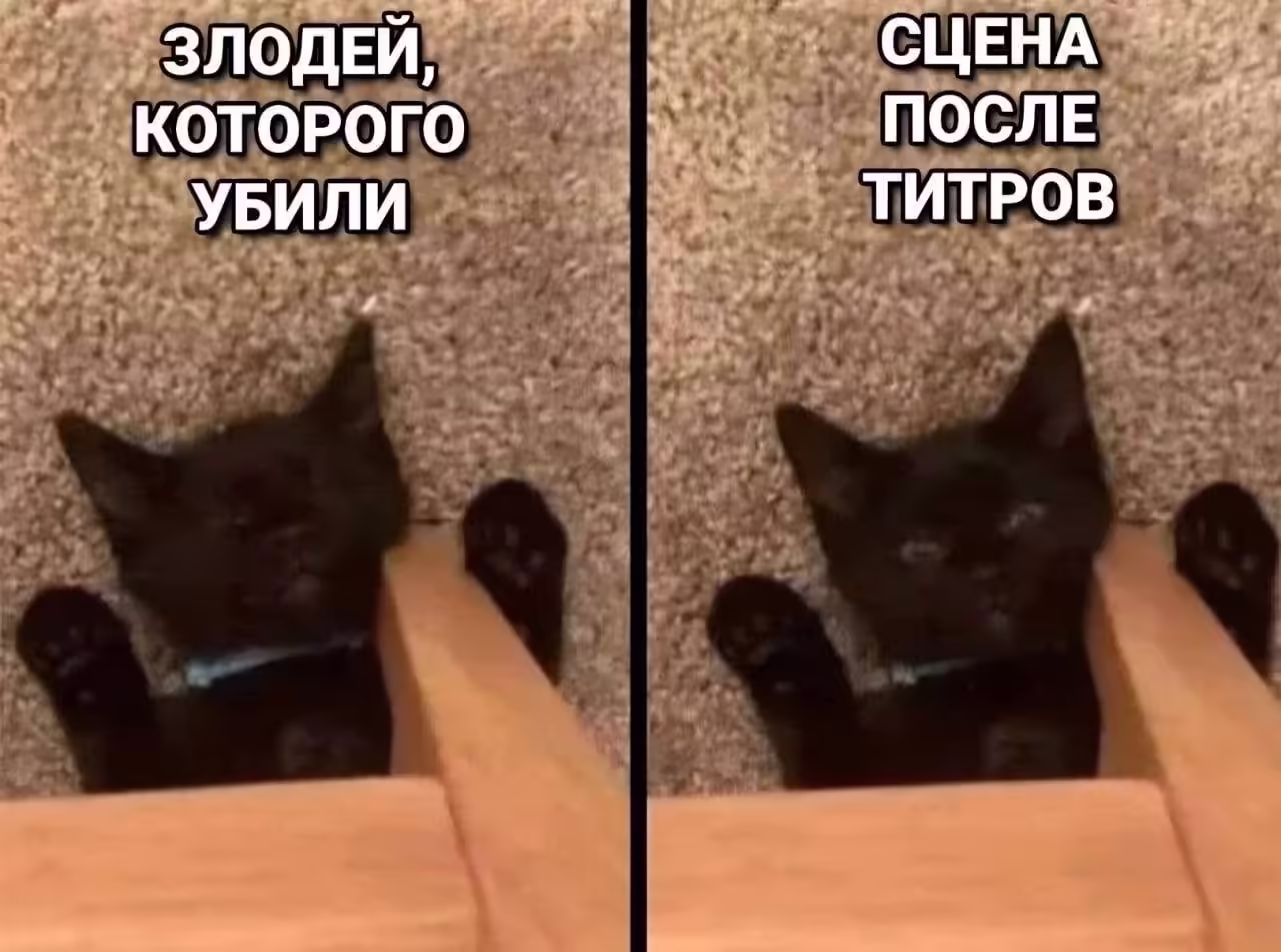 Смешнявка #605