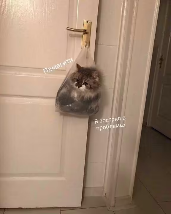 Смешнявка #607