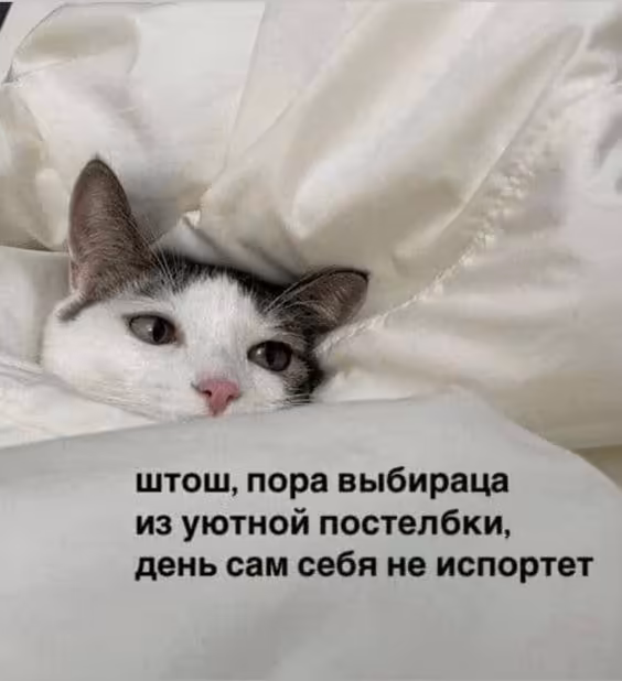 Смешнявка #613