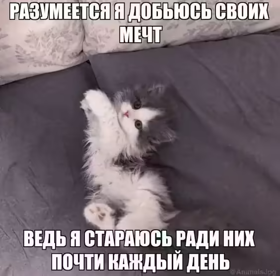 Смешнявка #614