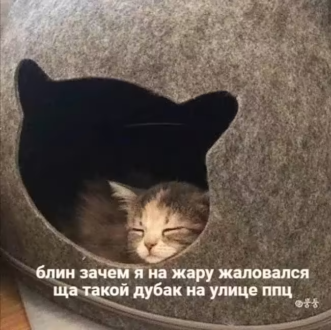 Смешнявка #617