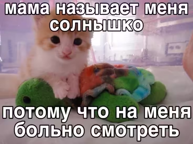 Смешнявка #619