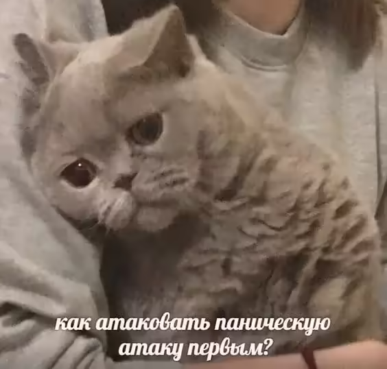 Смешнявка #623