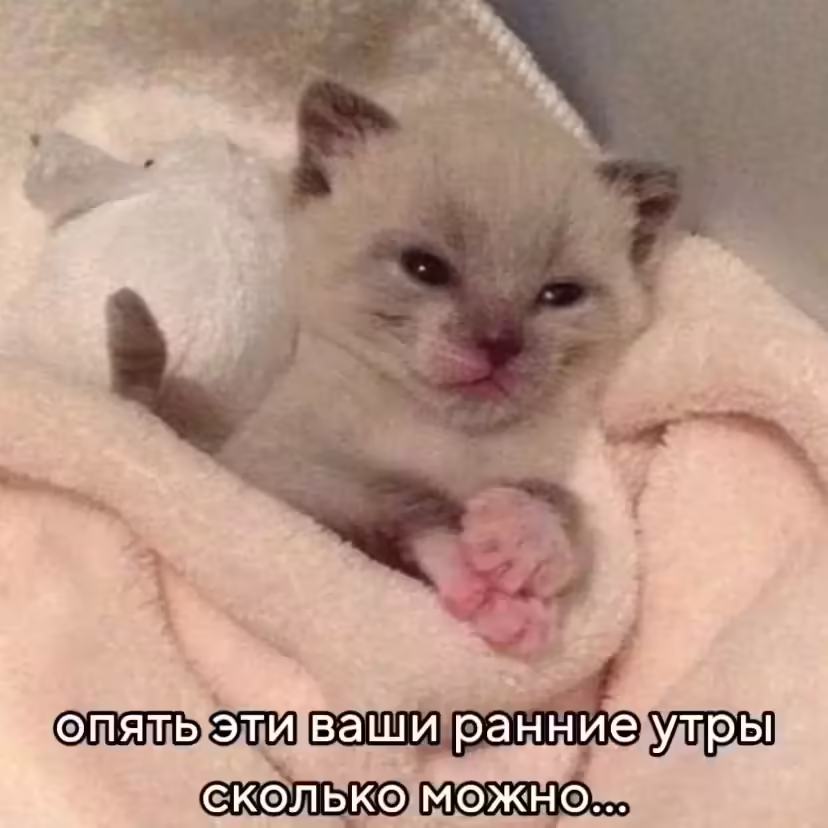 Смешнявка #630