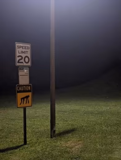 Смешнявка #635