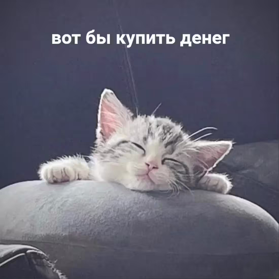 Смешнявка #673