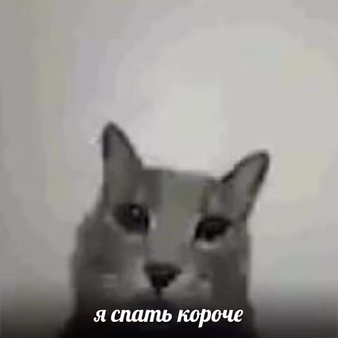 Смешнявка #681