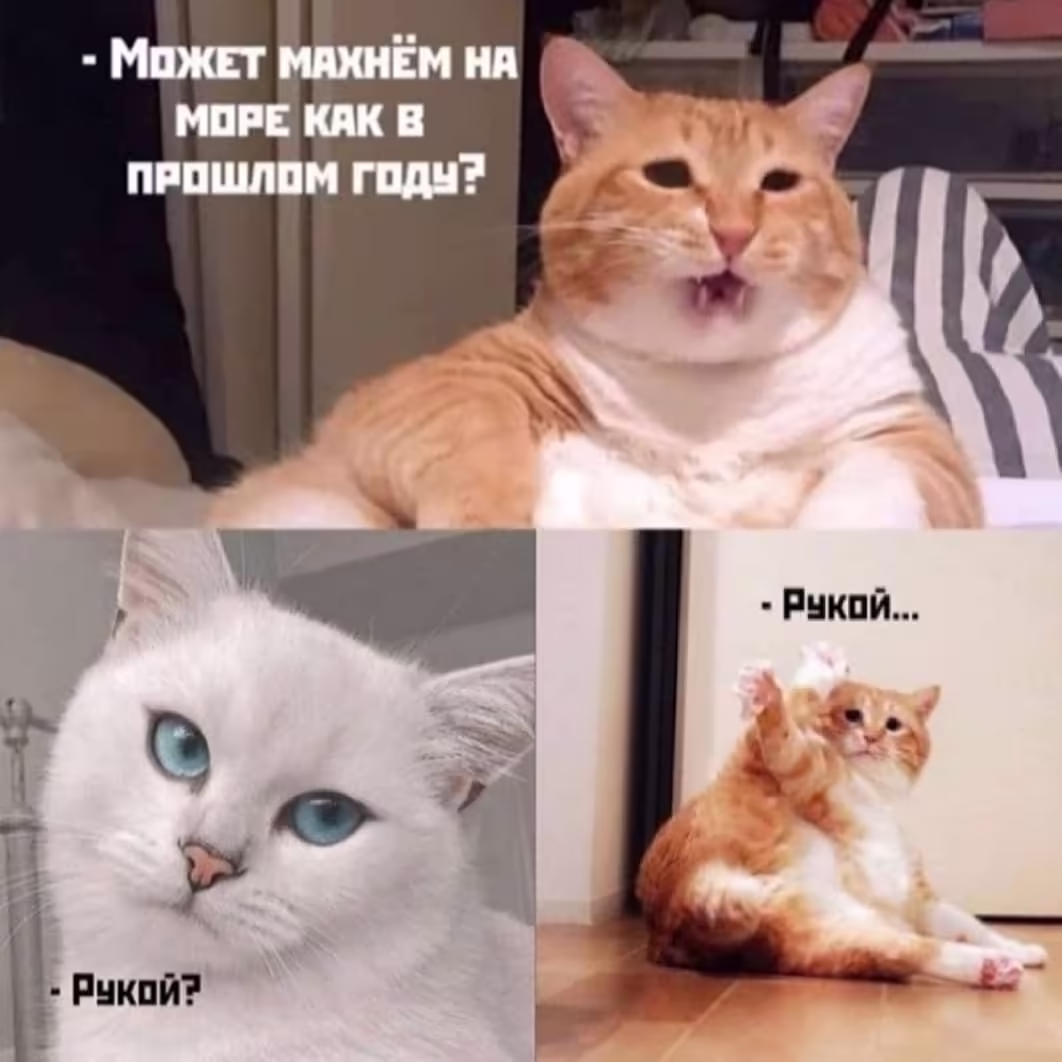 Смешнявка #690